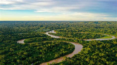 Amazonas